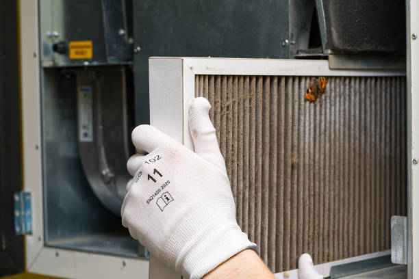 Best Air Duct Cleaning Near Me in Kealakekua, HI